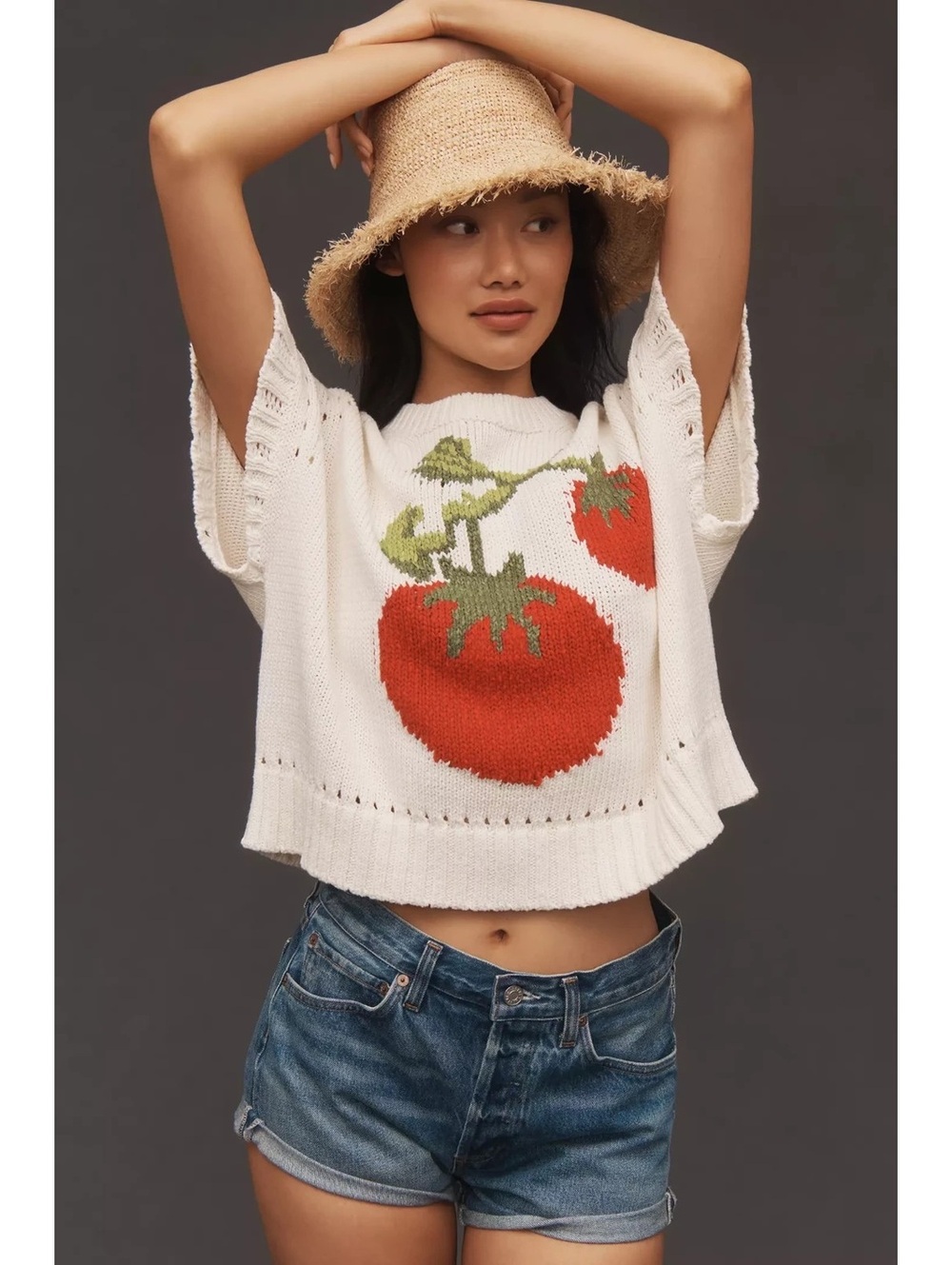 Anthropologie Maeve Crew-Neck Veggie Motif Graphic Sweater Tomato Small